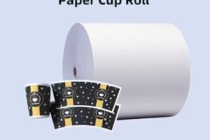 Paper Cup Bottom (58MM & 62MM - Single PE)